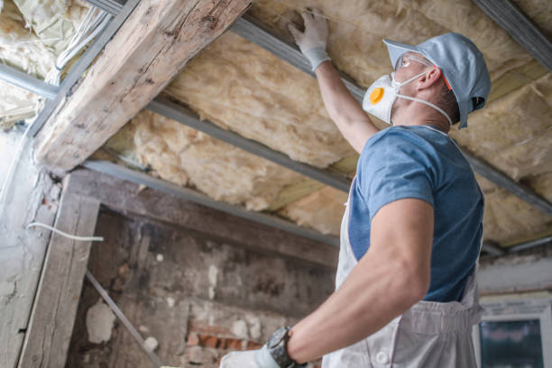 Best Garage Insulation Installation  in Oakwood, IL
