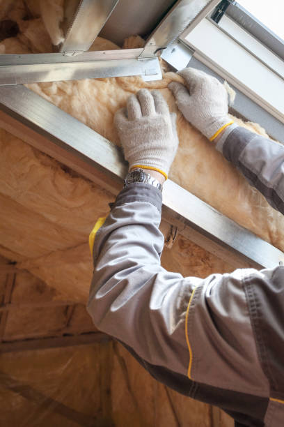 Best Local Insulation Services  in Oakwood, IL