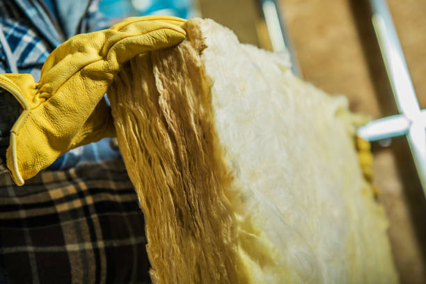 Best Home Insulation Services  in Oakwood, IL