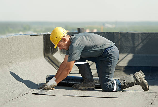 Insulation Inspection Services in Oakwood, IL