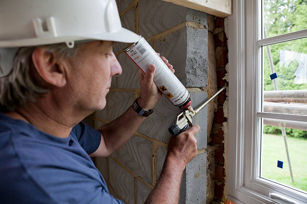 Best Crawl Space Insulation  in Oakwood, IL