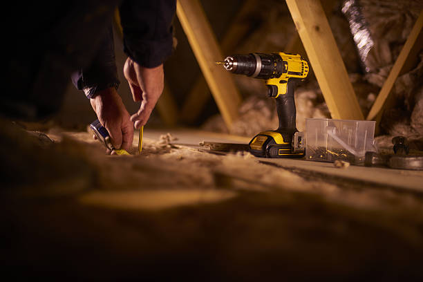 Best Insulation Removal  in Oakwood, IL