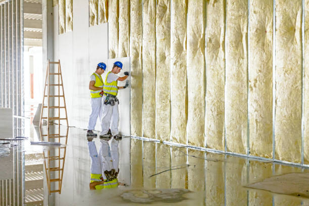 Best Soundproof Insulation Installation  in Oakwood, IL